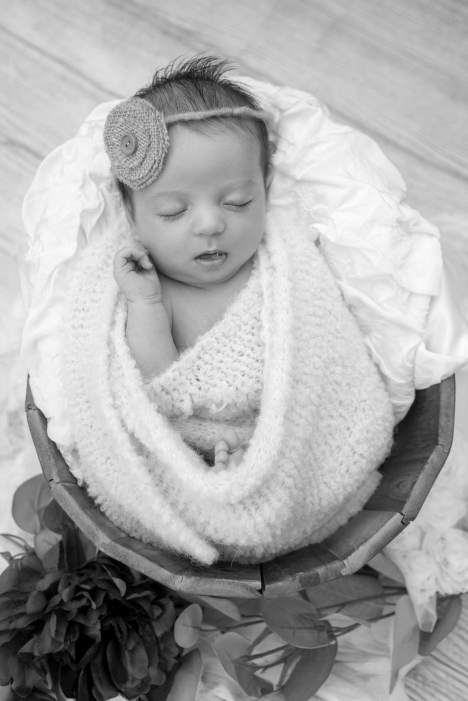 Christine Roy PHOTOGRAPHE