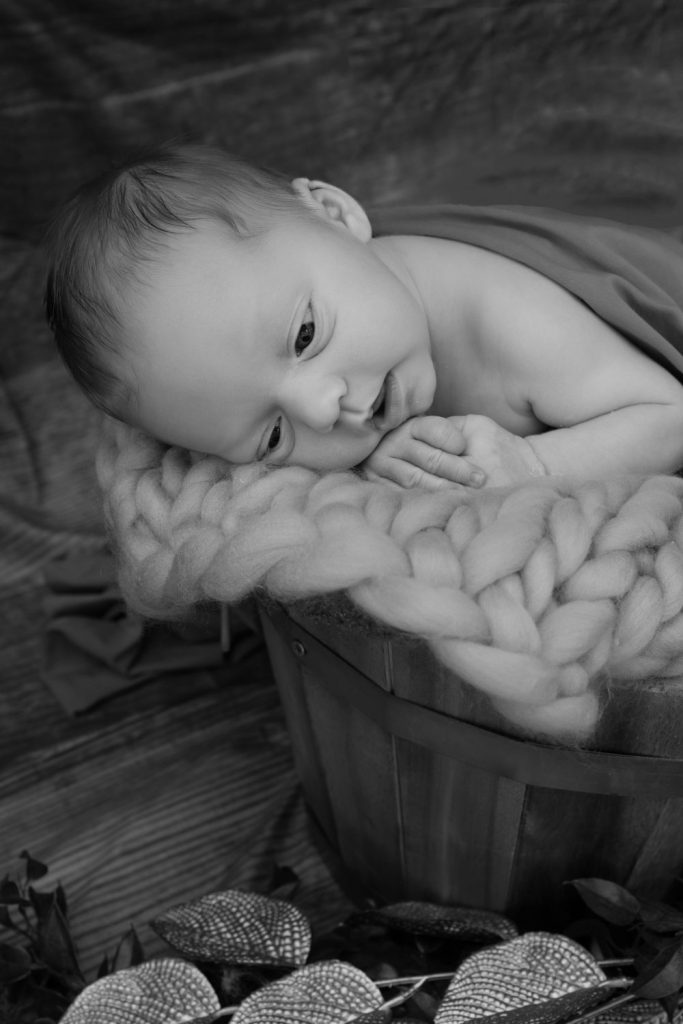 Christine Roy PHOTOGRAPHE