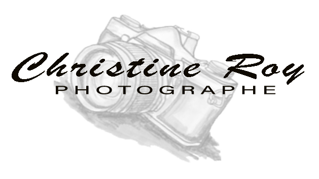 Titre du site Web